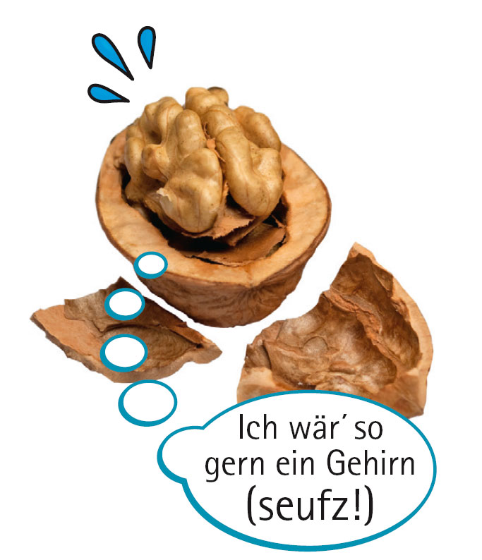 Walnuss mit Sprechblase "Ich wär´ so gern ein Gehirn (seufz!)"