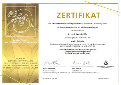 Zertifikat Endometriose