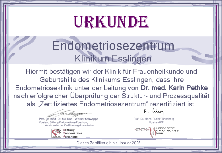 Zertifikat Endometriose