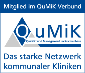 QuMik Logo