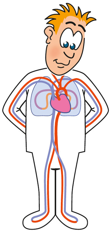 Comicfigur mit sichtbaren Organen